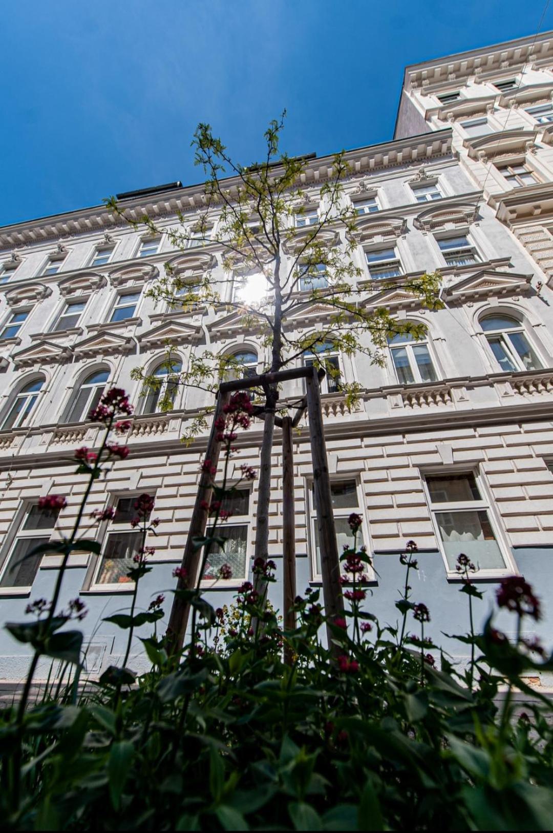 Vienna My City Apartment Garden View Eksteriør bilde